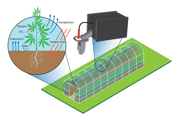 Why Infrared Heating is Essential for Optimal Greenhouse Conditions